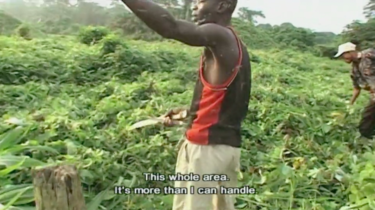 An exhausted-looking person person with a machete stands in the middle of an overgrown field and gestures ahead, stating: &lsquo;This whole area. It&rsquo;s more than I can handle&rsquo;. In the background another person cuts down the overgrowth.
