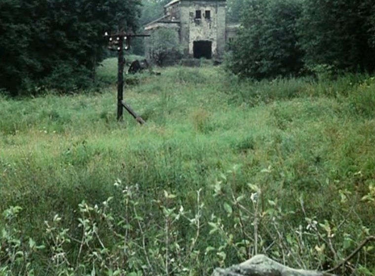 A field with blooming grasses, with a derelict building enclosed by a forest showing in the background